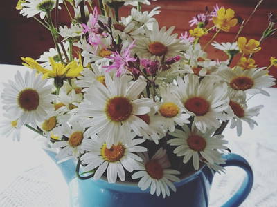 Bild 32 aus  Biohof Schmidbauer