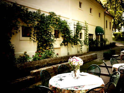 Bild 6 aus Alter Winzerkeller