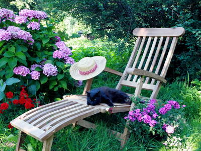 Bild 2 aus  Waldbothgut