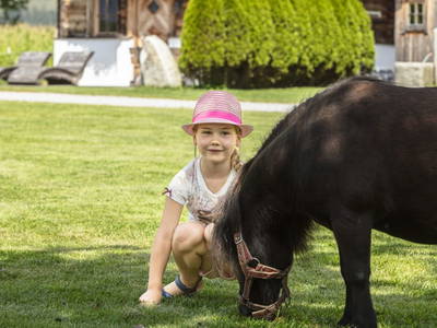 Bild 102 aus  Chalet Steinerner Meerblick