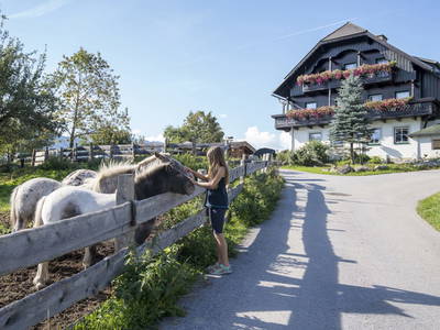 Bild 2 aus  Deutlhauserhof