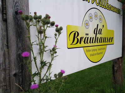 Bild 24 aus  Bräuhauser