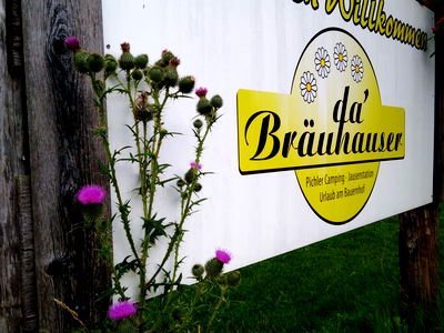 Bild 18 aus Bräuhauser