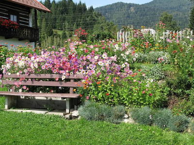 Bild 20 aus  Pirkerhof