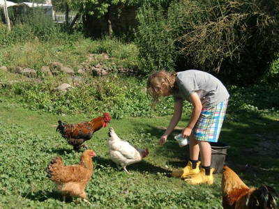 Bild 8 aus  Braunsberger Höfe