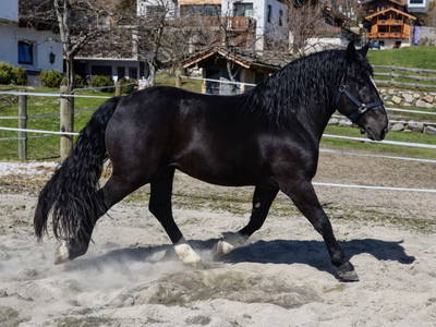 Bild 11 aus  Feriengut Hasenau