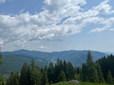 Bild 142 aus Neuwirth Hütte