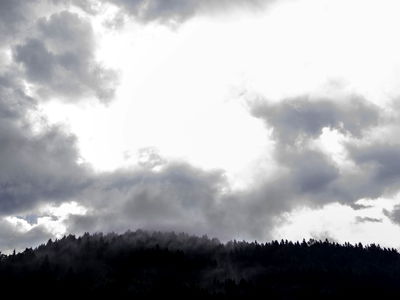 Bild 209 aus Arlitscherhof