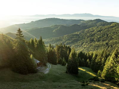 Bild 250 aus  Bischofhütten