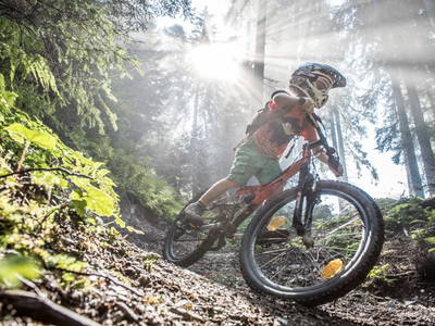 Bild 154 aus  Almhütte Brandgut