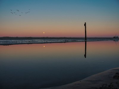 Bild 14 aus  "Reet" Landhaus Hartwig bei St. Peter-Ordings Sandstrand