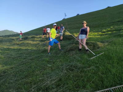 Bild 206 aus  Ferienhof Rabenreith