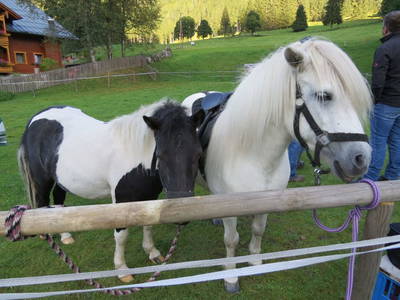 Bild 9 aus  Marchlhof