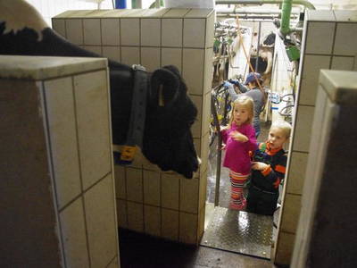 Bild 8 aus  Oberer Rechtgrabenhof