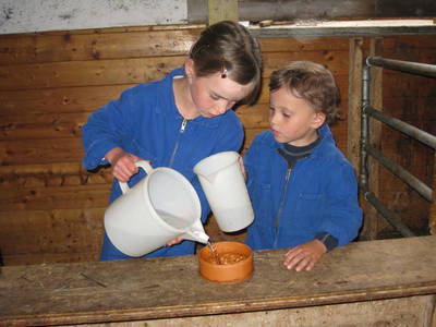 Bild 51 aus  Kinderbauernhof Leneler