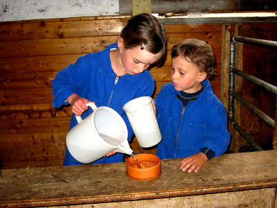 Bild 51 aus Bauernhof Leneler