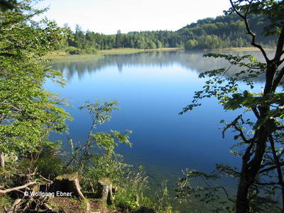 Bild 49 aus  Waldbothgut