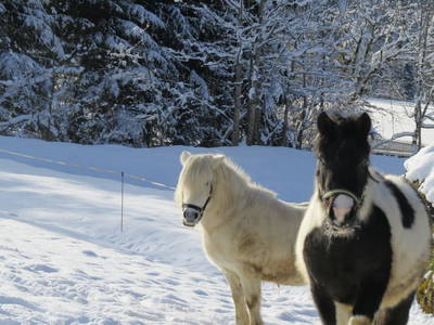 Bild 68 aus  Marchlhof