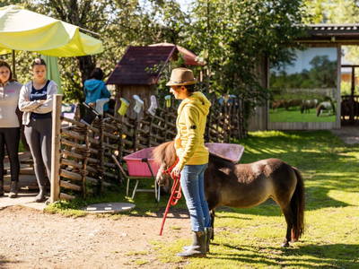 Bild 155 aus  Miniponyhof Wild