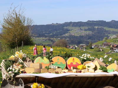Bild 127 aus  Familie Nußbaumer 