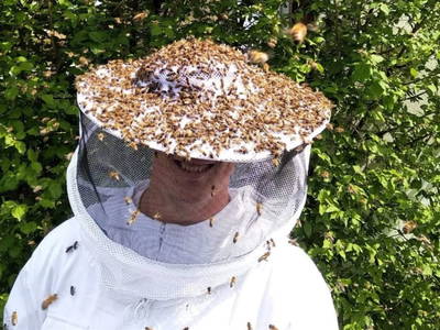 Bild 25 aus  Ferienhaus Weinmeyer 