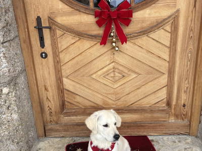 Bild 51 aus  Buchnerhof