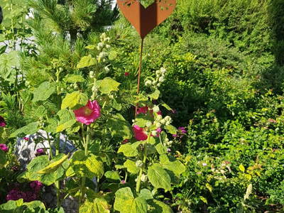 Bild 61 aus  Ferienhaus Mandlberggut