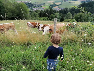 Bild 20 aus Bio Bauernhof Kräuter