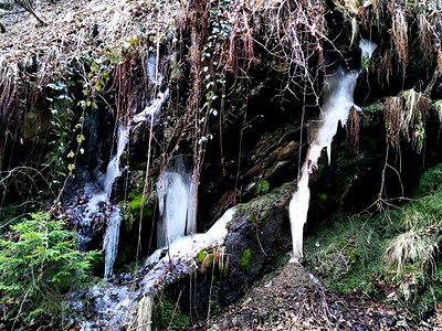 Bild 20 aus Auszeithof Drion
