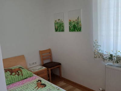 Bild 101 aus  Reiterhof Pfleger