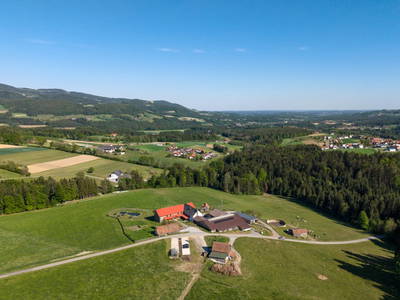 Bild 127 aus  Pircherhof - Adults Only am Biobauernhof