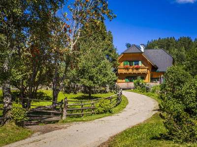 Bild 25 aus  Kandolf