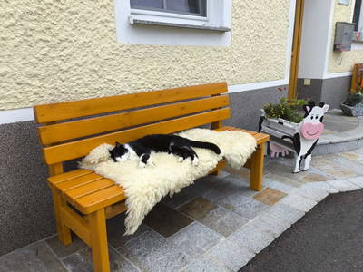 Bild 108 aus  Obergrafenberger