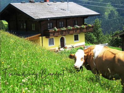 Bild 33 aus  Bergbauernhof Brandgut