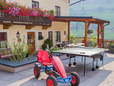 Bild 49 aus  Schaidreithof