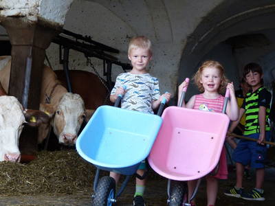 Bild 19 aus  Schauerhof