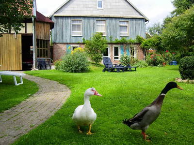 Bild 3 aus  Hof Gerina