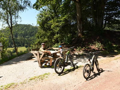 Bild 159 aus  Panorama Hof Fa. Sereinig