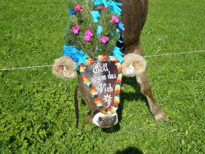 Bild 42 aus  Ferienhaus Althagerhof