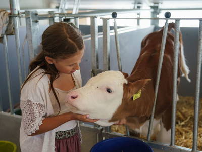 Bild 129 aus  Linharterhof Zimmer