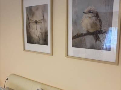 Bild 23 aus  Almhaus Sparwald