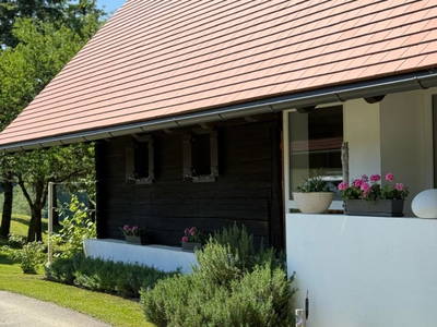 Bild 114 aus Muchitsch-Krispel