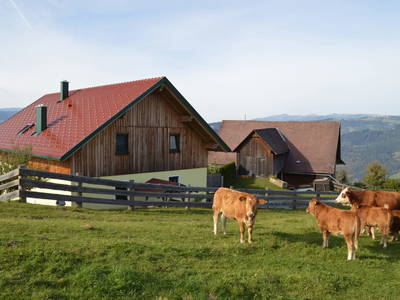Bild 25 aus  Almferienhaus Russmann