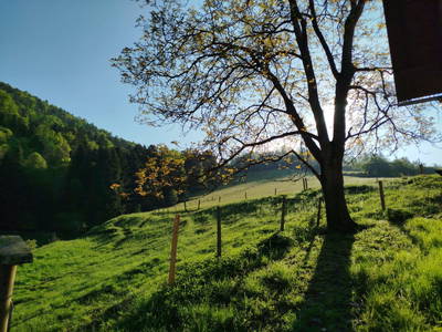 Bild 126 aus Promschhof