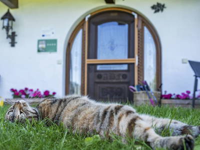 Bild 29 aus  Hagerhof