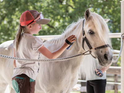 Bild 13 aus  Landhaus Tobhart