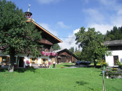 Bild 59 aus  Blattlbauer