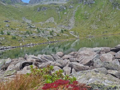 Bild 103 aus  Almhütte Pucher