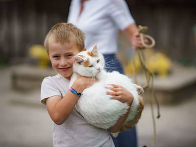 Bild 48 aus  Linharterhof Appartements