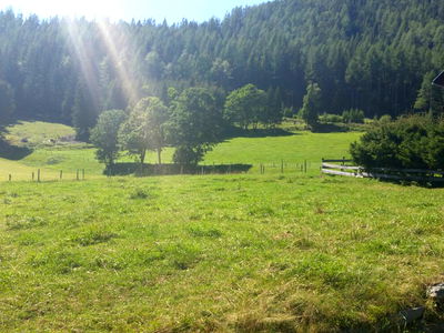 Bild 25 aus Almhaus Perfler
